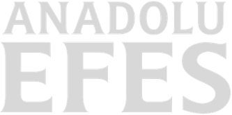 anadolu efes-logo-grey.png